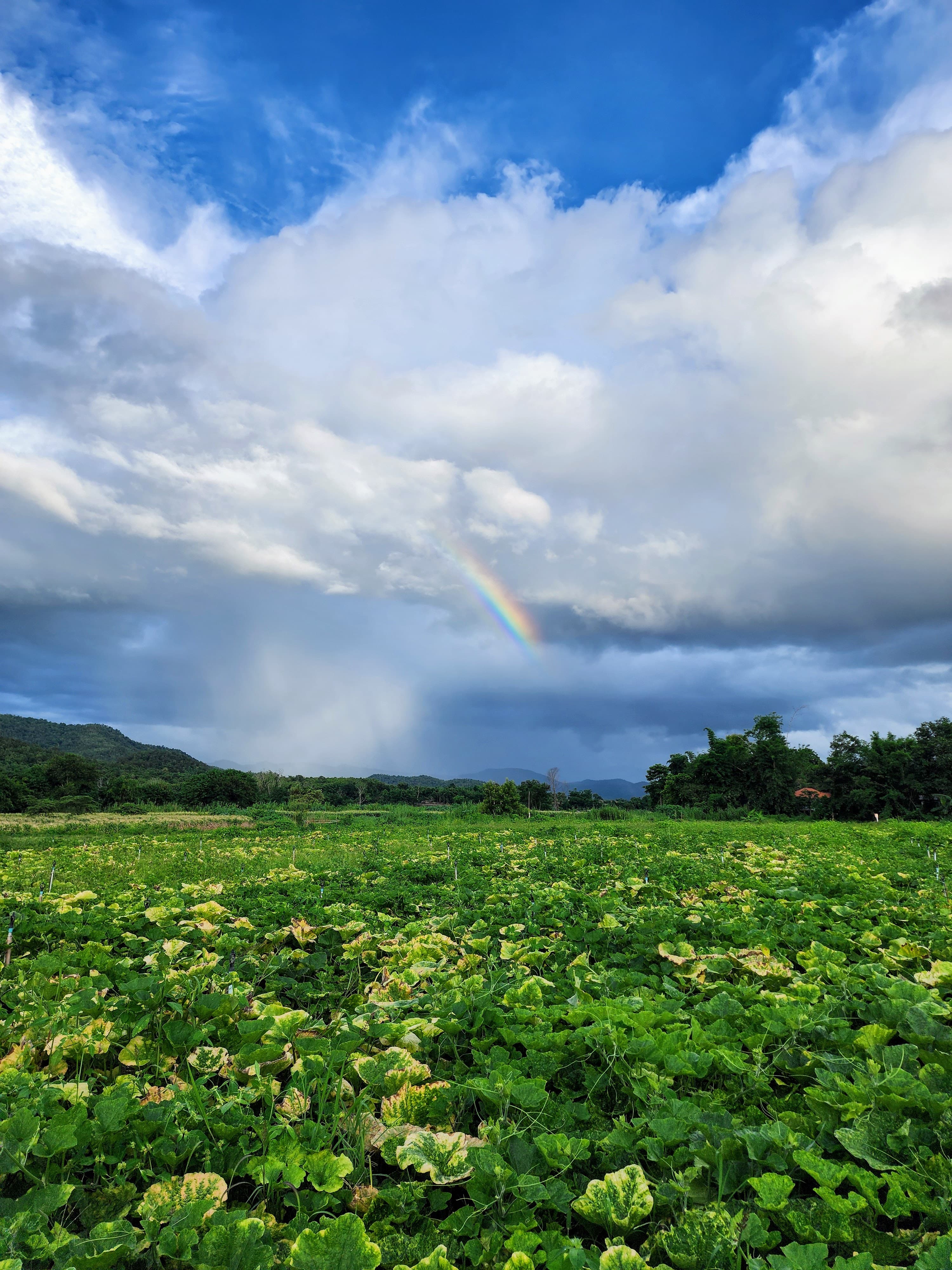 Pai, Thailand - View 1